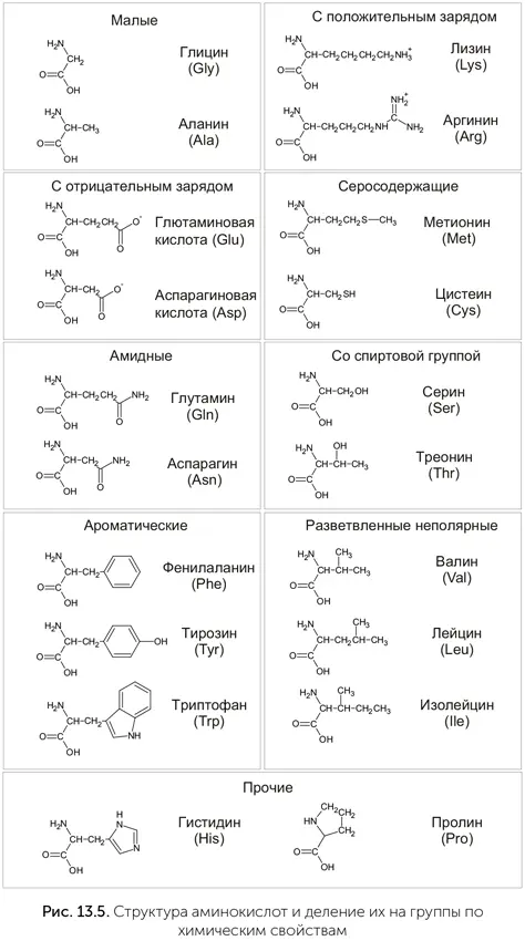 Подсчитано что стандартный генетический код по устойчивости к ошибкам входит в - фото 107