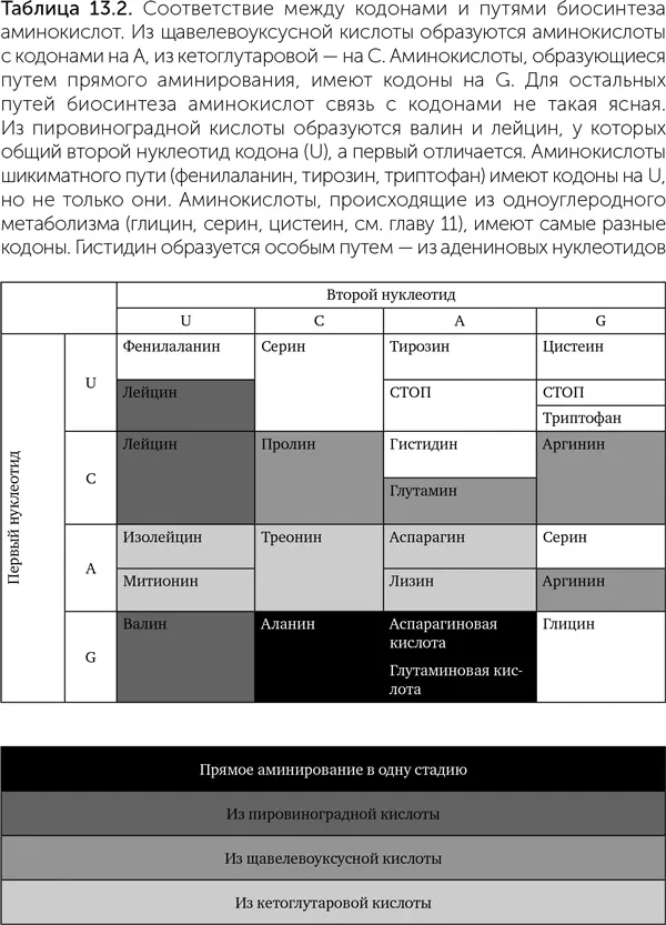 История аминоацилтРНКсинтетаз АминоацилтРНКсинтетазы это группа - фото 110