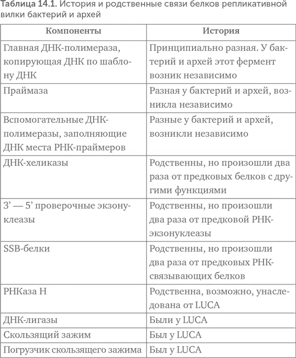 Общее происхождение скользящего зажима и его погрузчика означает что структура - фото 119