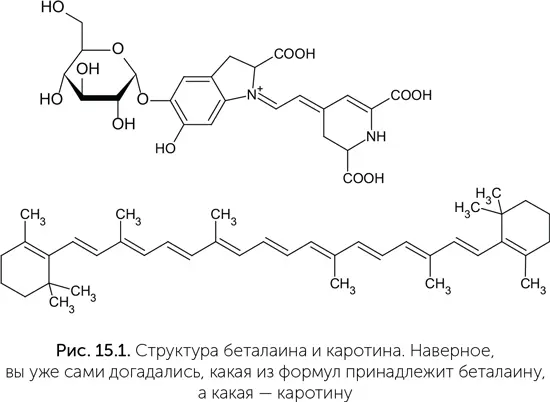 Для получения мембран и мыльных пузырей нужны молекулы с более сложными - фото 121