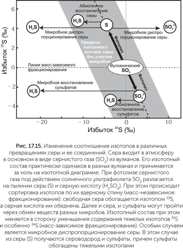 Исследования архейских баритов Philippot et al 2007 показали что сульфат в - фото 158