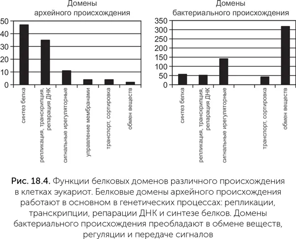 Хорошо видно что базовые генетические процессы эукариотических клеток - фото 162