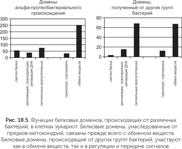 Несколько белковых семейств эукариот связанных со слиянием и отшнуровкой - фото 163