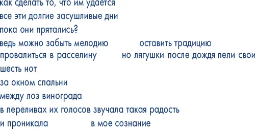 Наоми Шихаб Нье уже давно пишет в небольших желательно зеленых блокнотах - фото 4