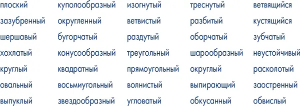 ЦВЕТА Такая вот история Игра в превращения Прошлой ночью я полетела через - фото 25
