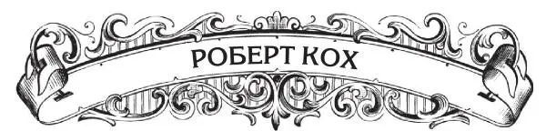 Роберт Генрих Герман Кох родился 11 декабря 1843 года в КлаустальЦеллерфельде - фото 17