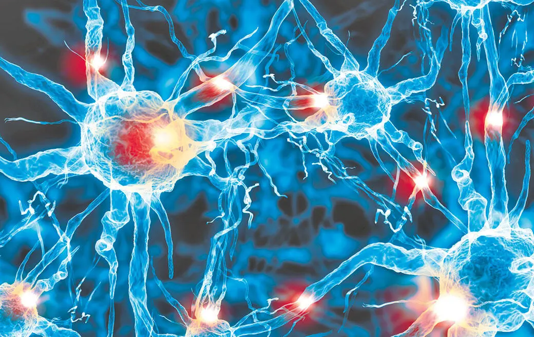 Нейроны сообщаются друг с другом при помощи химических сигналов получивших - фото 22