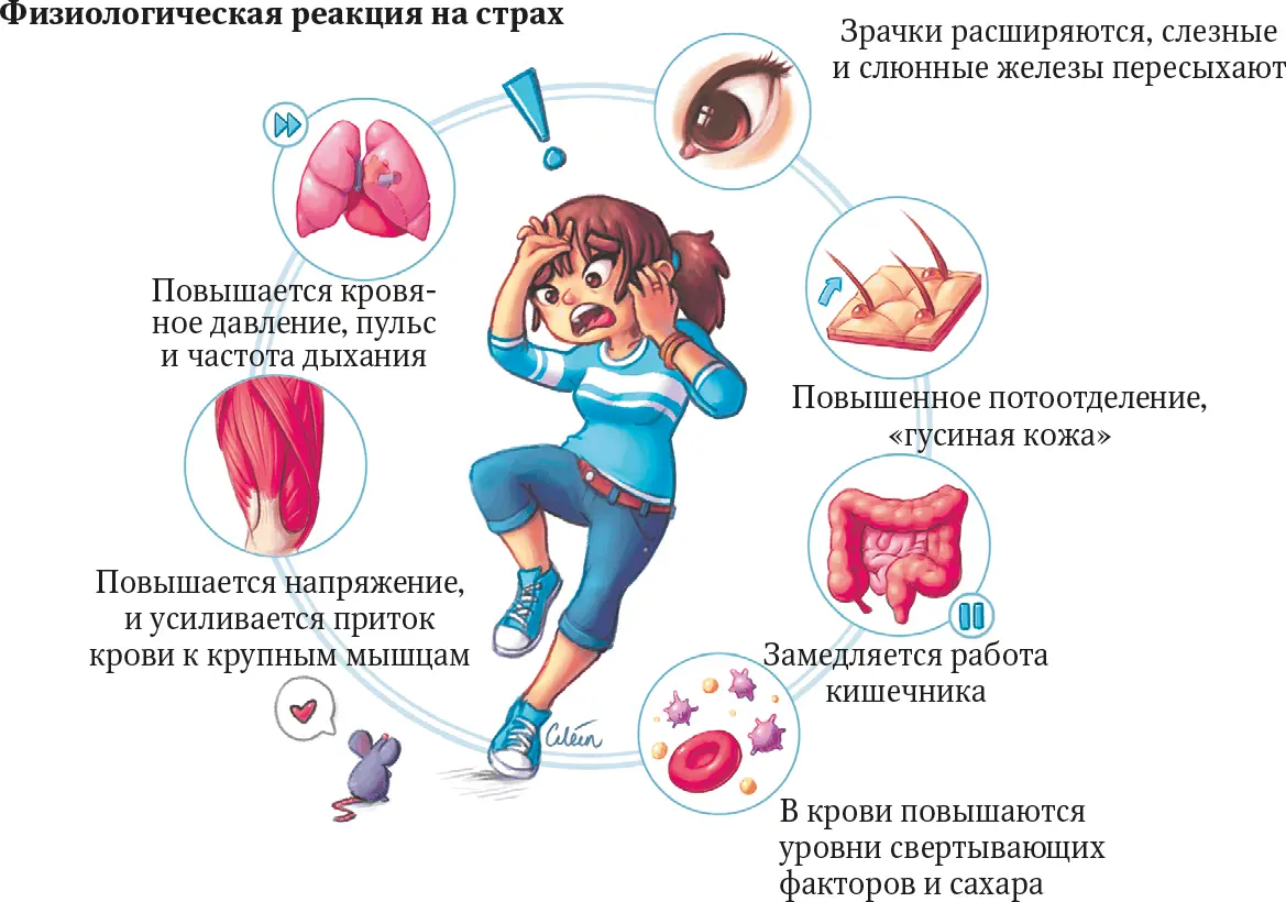В большинстве ситуаций внешней информации слишком много и поэтому невозможно - фото 62