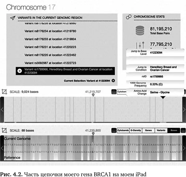 На рис 42 представлена небольшая часть моей генной цепочки BRCA1 для - фото 13