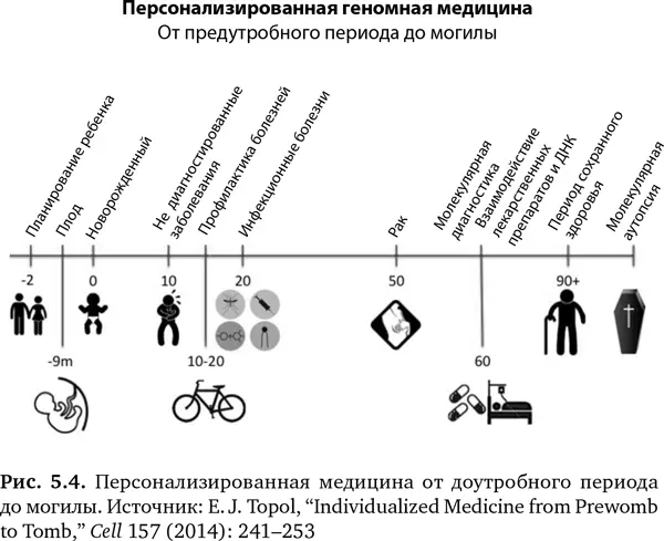 Предутробный период Одно из самых перспективных направлений профилактики в - фото 17