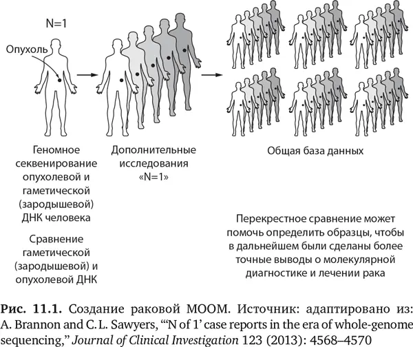 Теперь уже действуют еще несколько МООМ Исследовательский фонд множественных - фото 38