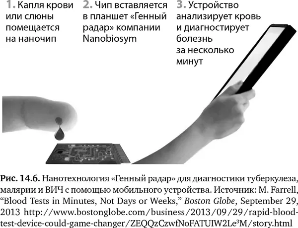 В условиях плохо развитой инфраструктуры становятся доступными другие - фото 53