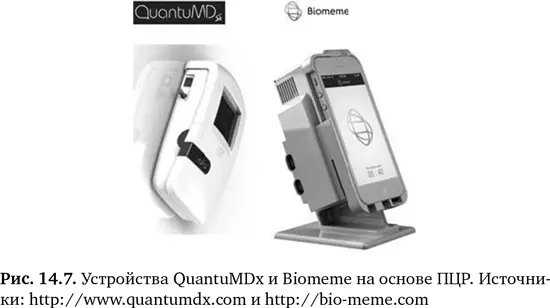 В условиях плохо развитой инфраструктуры становятся доступными другие - фото 54