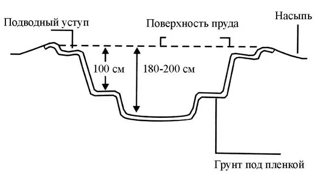 Рис 25 Схема устройства простейшего пруда Пруды могут быть одиночными или в - фото 32