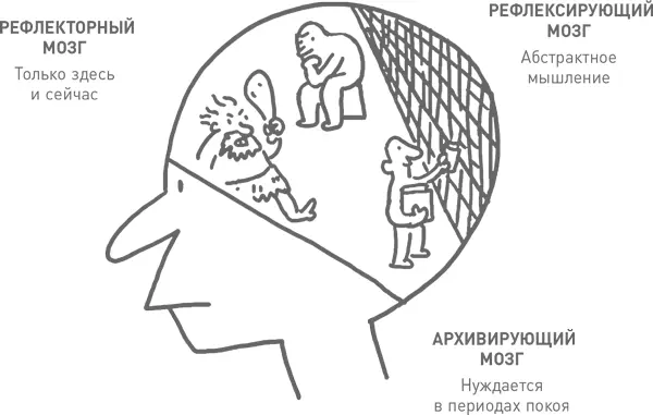 Наш медлительный и сложный рефлексирующий мозг Мы постоянно думаем - фото 4