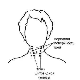Рис 40 Работать со щитовидной железой будем таким образом Шею немного - фото 117
