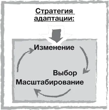 Рисунок 31 Стратегия адаптации У стратегии адаптации так же как и у - фото 20