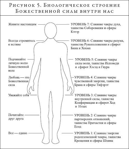 Семь священных истин Внешняя сила Первый уровень слияние первичной - фото 5