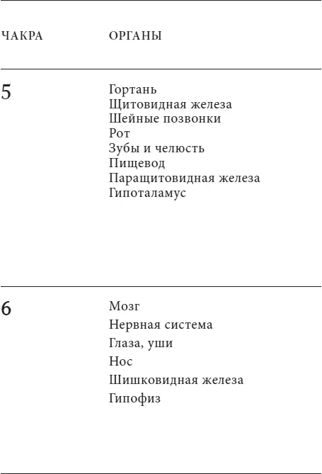 Глава первая Первая чакра родоплеменная сила - фото 10