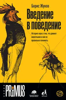 Борис Жуков - Введение в поведение. История наук о том, что движет животными и как их правильно понимать