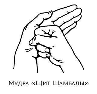 Выполнениедве соединенные руки изображают раковину Четыре пальца правой руки - фото 102