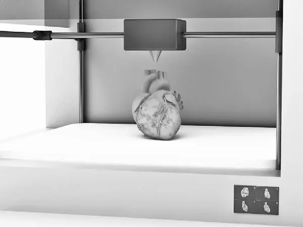 3Dпринтер выращивающий человеческие органы По мнению специалистов в - фото 15