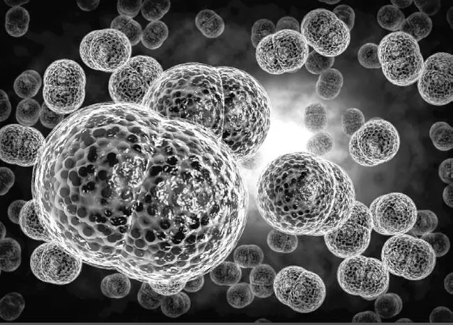 Бактерия deinococcus radiodurans Передо мной в чашке Петри колония - фото 50