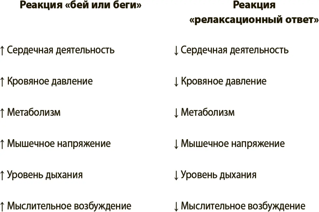 Принцип активных действий описанный ранее активирует BNST и левую лобную долю - фото 1