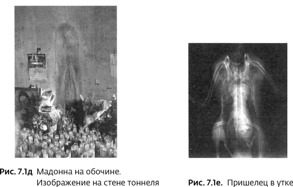 Псевдонаука и паранормальные явления Критический взгляд - фото 30