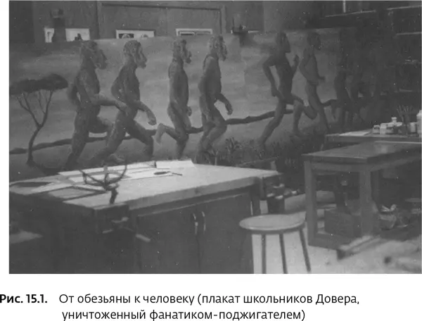 Дарвин и эволюция Приведем краткое изложение дебатов Большинство современных - фото 52