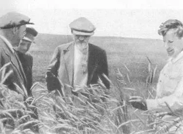 М И Калинин на поле одного из колхозов Воронежской области 1936 г - фото 28