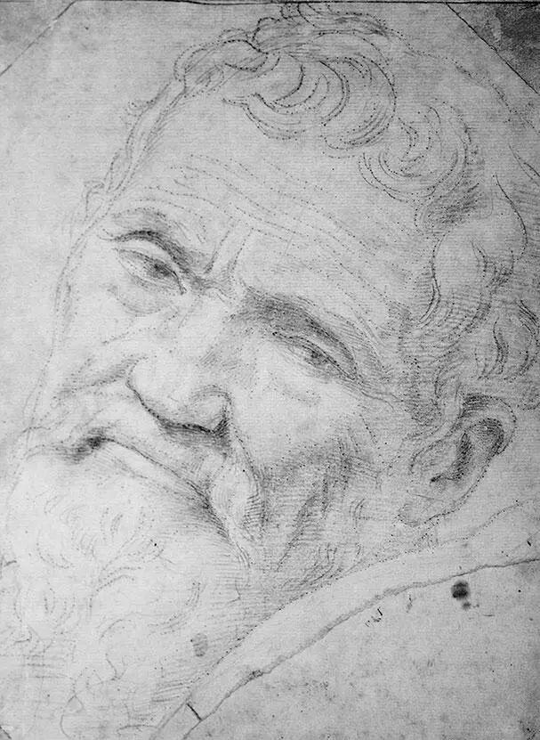 Даниэле да Вольтерра Портрет Микеладжело Буанаротти 1500е Музей Тейлора - фото 11