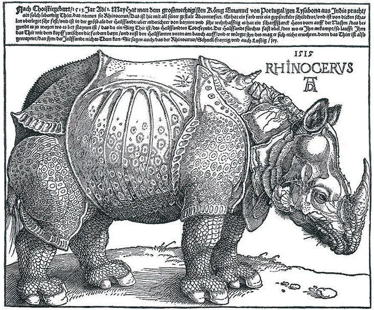 Альбрехт Дюрер Носорог 1515 Британский музей Лондон Альбрехт Дюрер - фото 150