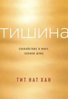 Тит Хан - Тишина. Спокойствие в мире, полном шума