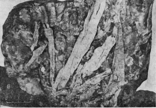 Элемент 39 содержится во множестве минералов Еще один богатый им минерал - фото 145