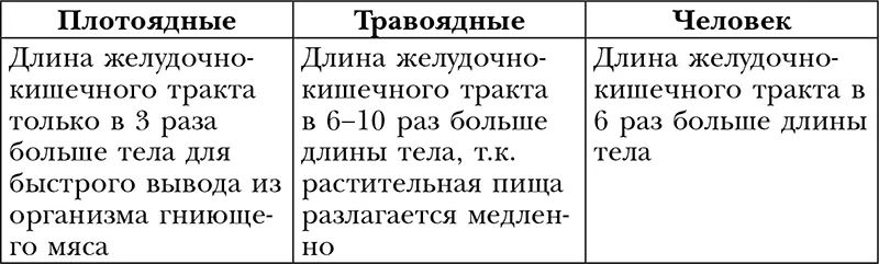 Белки жиры и углеводы их роль в обмене веществ Никакой физиолог не станет - фото 16