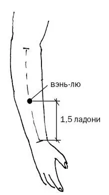 Рис 8 б 3Фулю точка канала почек рис 8 в расположена на ноге на 3 - фото 24