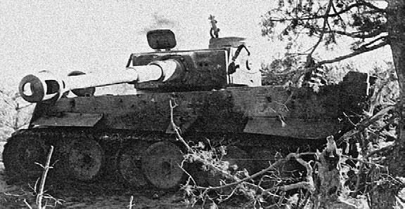 Подбитые и захваченные тигры 503го ттб Июль 1943 г южный фас Курской дуги - фото 54