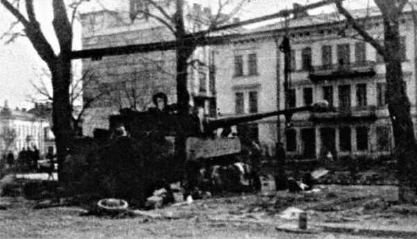 Подбитый тигр 503го ттб Апрель 1944 г г Станислав Дмитрий Сирик - фото 292