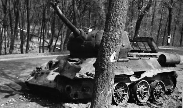 Подбитые танки 1й гв ТА на Зееловских высотах 1720 апреля 1945 г - фото 540
