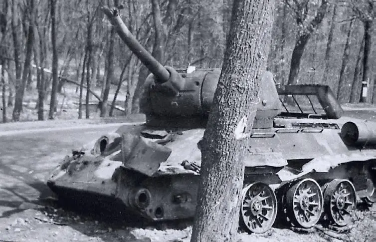 Подбитые танки 1й гв ТА на Зееловских высотах 1720 апреля 1945 г 1я гв - фото 740