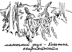 Со своей собакой это сделать гораздо легче потому что вы знаете ее характер - фото 128