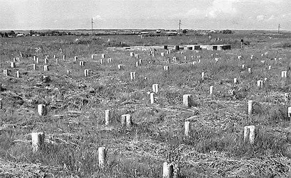 Рис 91 Соборная мечеть в Биляре Якобы XXIII века Реконструкция деревянной - фото 93