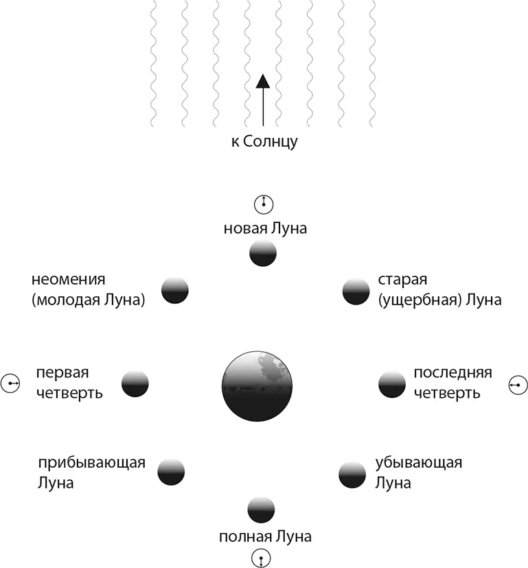 Рис 32 Фазы Луны На рис 33 изображены две водяные волны в определенный - фото 7
