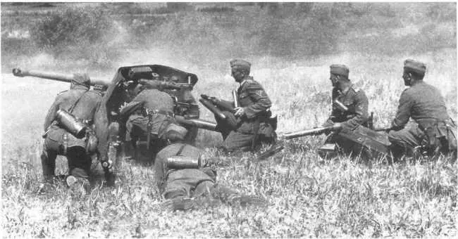 Расчет 50мм противотанковой пушки Pak 38 во время боя Лето 1941 года - фото 20