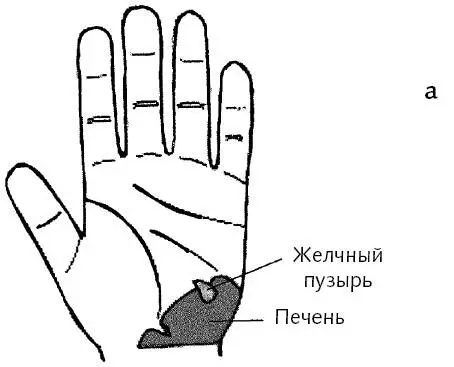 Рис 61 а бЗоны воздействия на область печени 1 Сгибаем ногу в колене и - фото 160