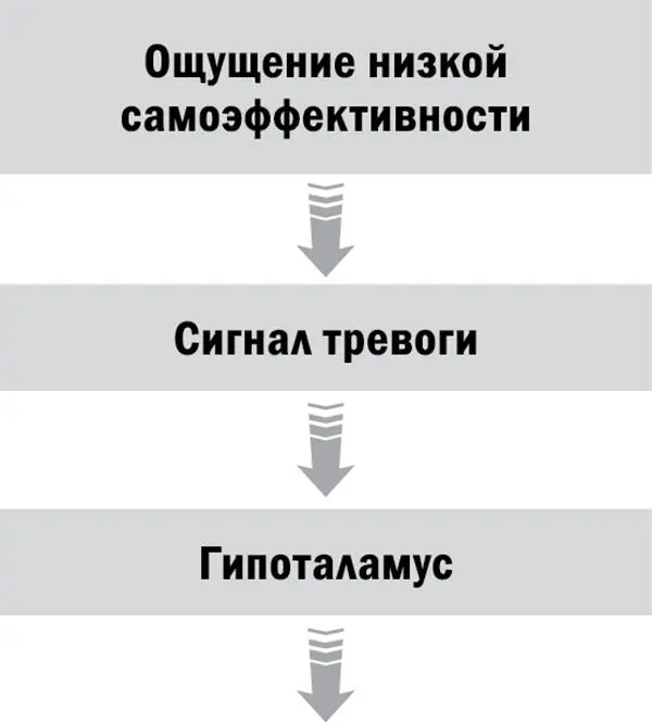 Если человек вполне доволен собой своим статусом профессионала у него есть - фото 11