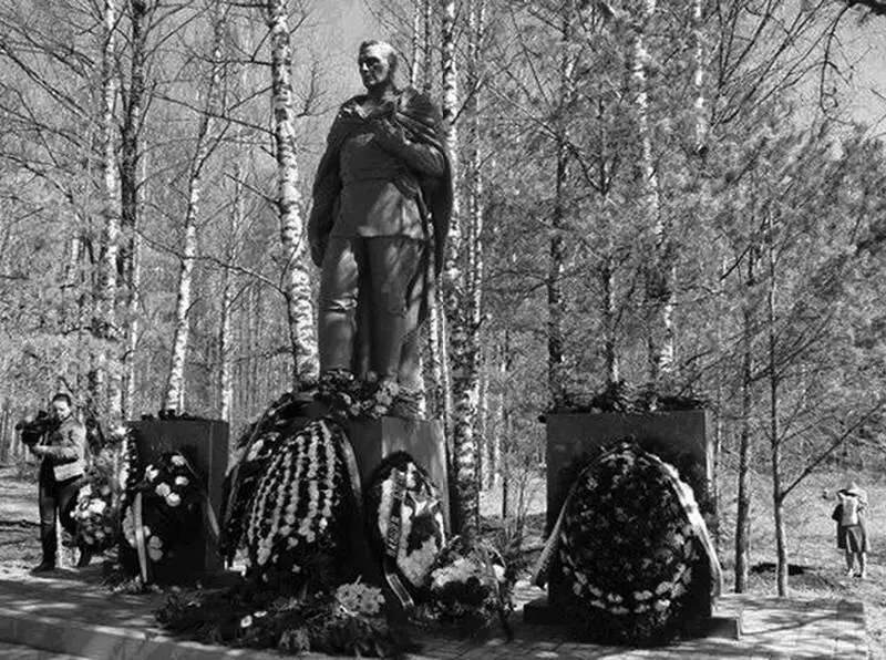 Памятник Неизвестному солдату Деревня Кокошкино 2015 г Эти текстовые ляпы - фото 106