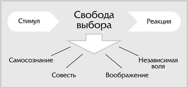 Теперь обратим внимание на третье дарование которым воспользовалась эта - фото 7