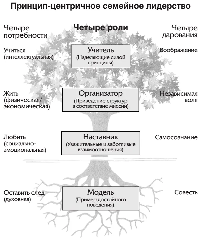 Быть моделью преимущественно духовная роль Вы опираетесь большей частью на - фото 44